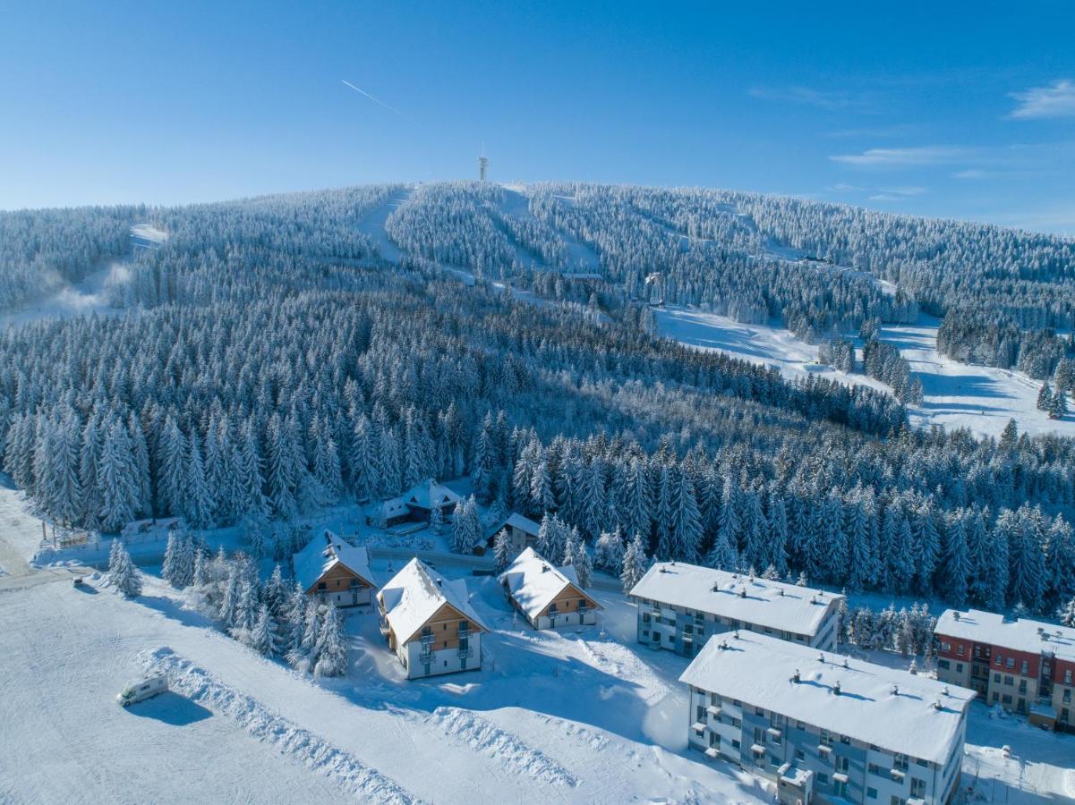 Ski Chalet Klinovec Loučná pod Klínovcem Bagian luar foto