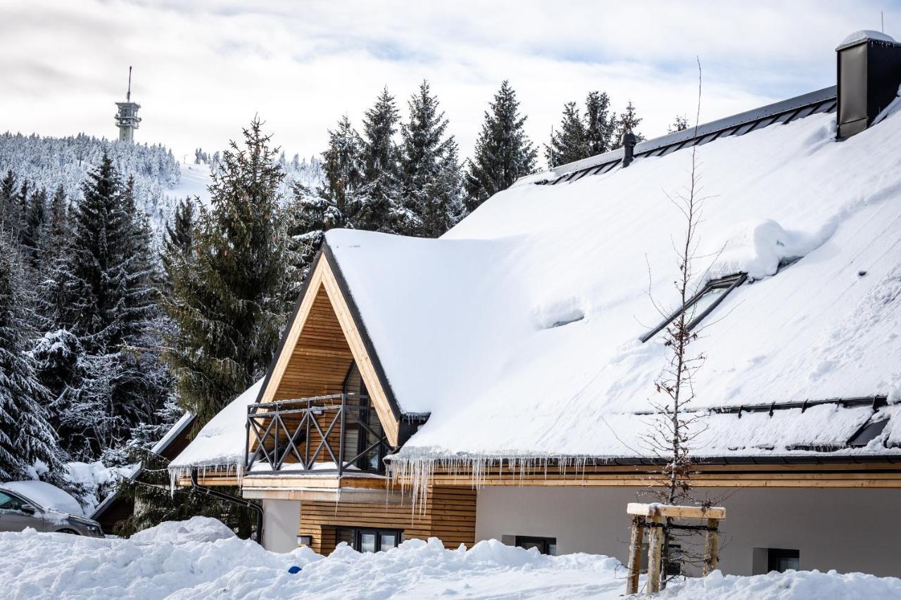 Ski Chalet Klinovec Loučná pod Klínovcem Bagian luar foto