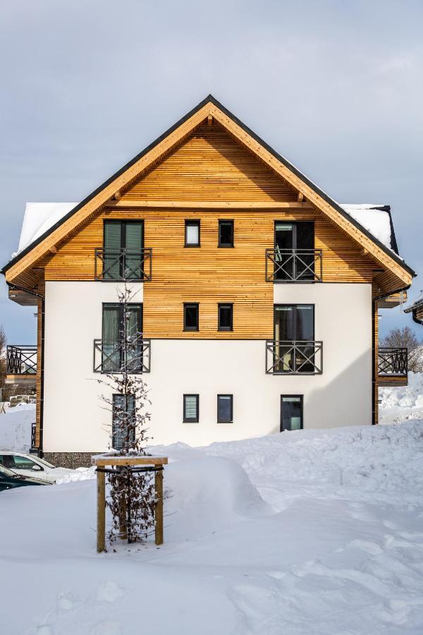Ski Chalet Klinovec Loučná pod Klínovcem Bagian luar foto