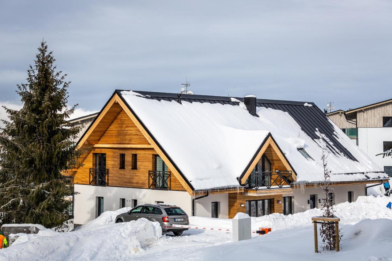 Ski Chalet Klinovec Loučná pod Klínovcem Bagian luar foto