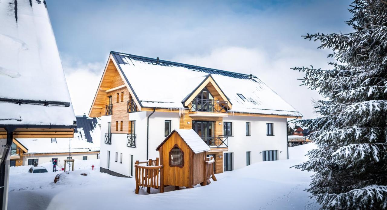 Ski Chalet Klinovec Loučná pod Klínovcem Bagian luar foto