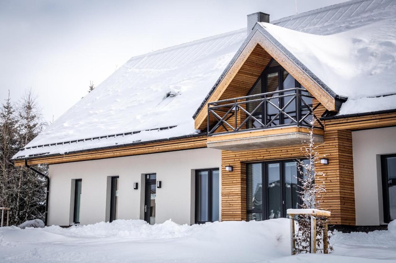 Ski Chalet Klinovec Loučná pod Klínovcem Bagian luar foto