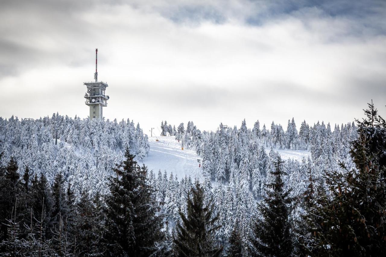 Ski Chalet Klinovec Loučná pod Klínovcem Bagian luar foto