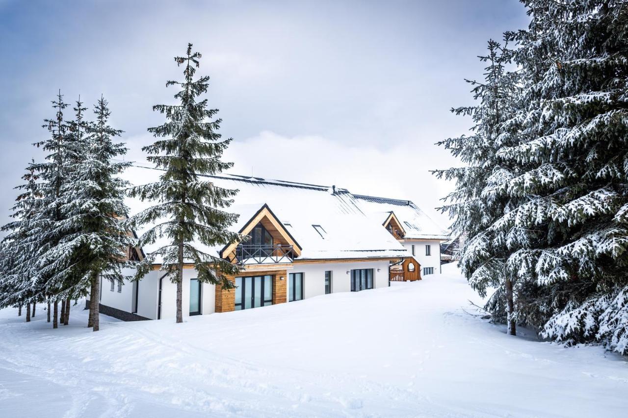 Ski Chalet Klinovec Loučná pod Klínovcem Bagian luar foto