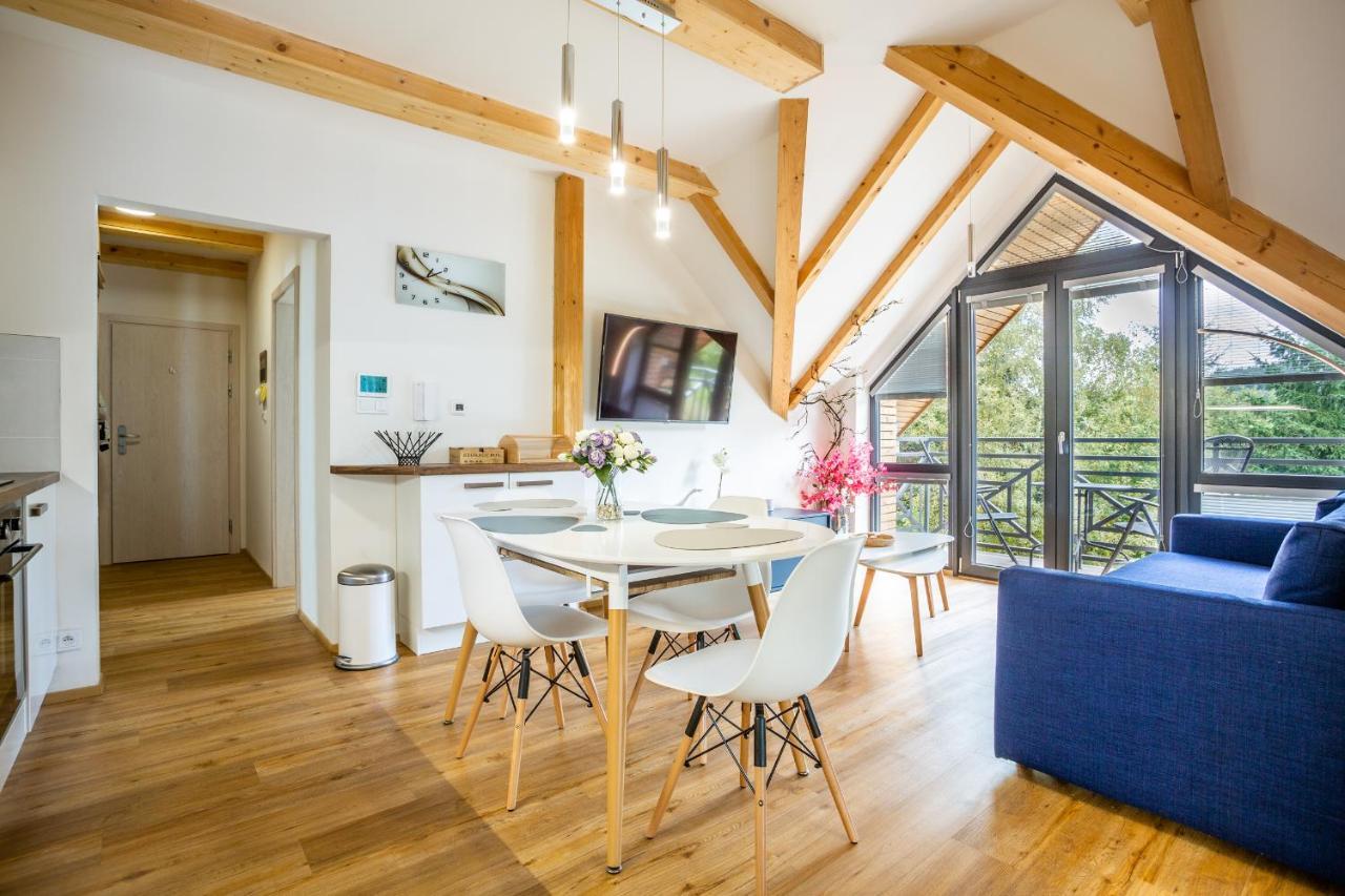 Ski Chalet Klinovec Loučná pod Klínovcem Bagian luar foto