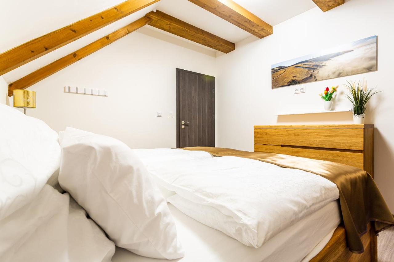 Ski Chalet Klinovec Loučná pod Klínovcem Bagian luar foto